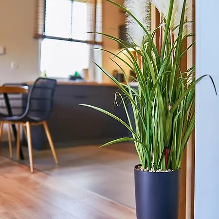 Laguna Loftowy Na Wzgórzu