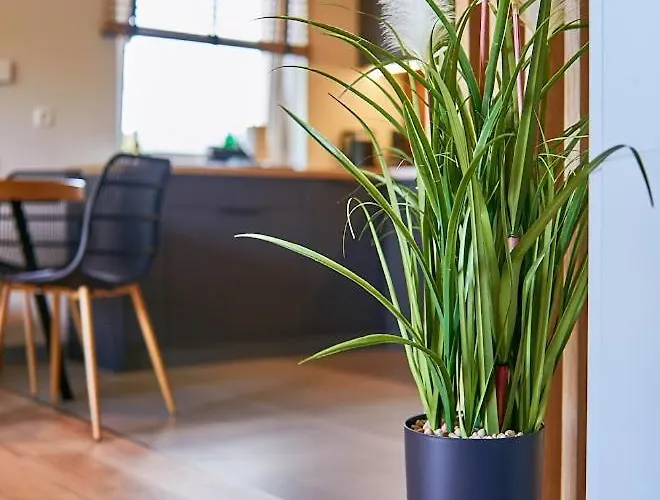 Laguna Loftowy Na Wzgorzu